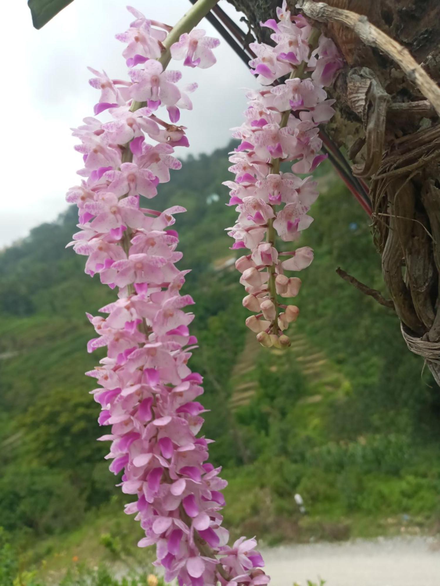 Unique Point Home Stay ناغاركوت المظهر الخارجي الصورة