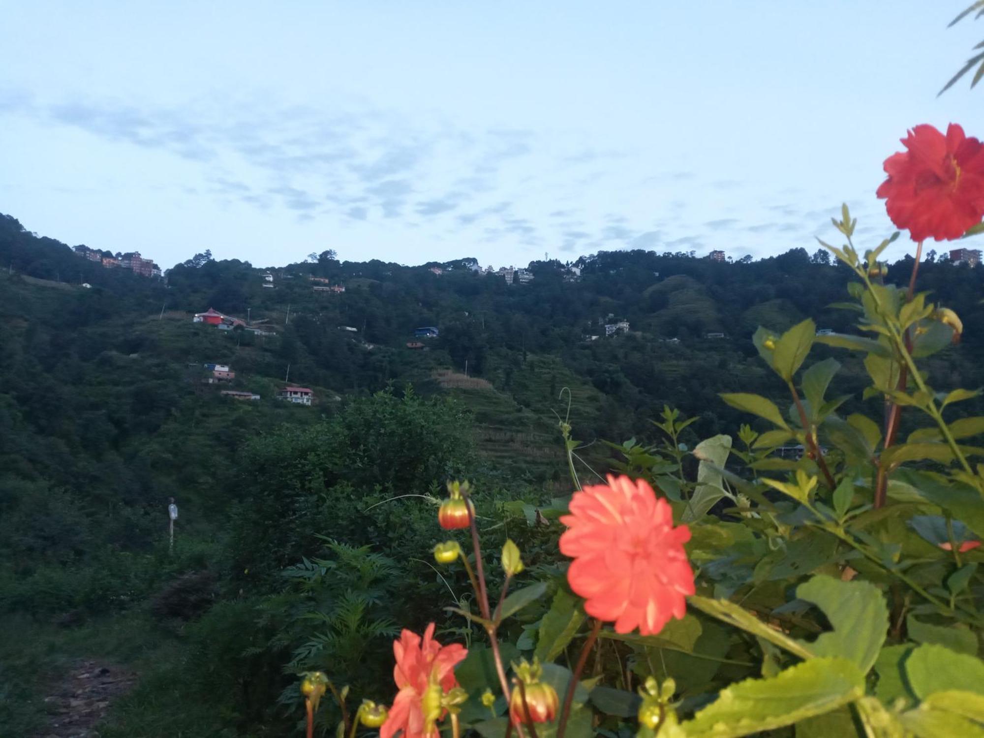 Unique Point Home Stay ناغاركوت المظهر الخارجي الصورة
